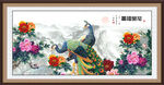 牡丹花