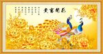 孔雀图
