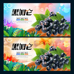 黑加仑