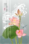 荷花