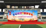 童心向党主题运动会
