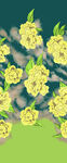 定位花