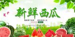 新鲜西瓜