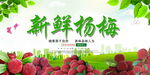 新鲜杨梅