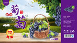葡萄包装平面图