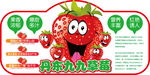 丹东九九草莓超市吊牌