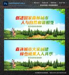 森林城市