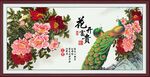 花开富贵 