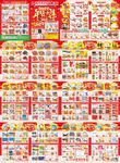 年货大集DM海报图片