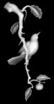 花鸟靠背