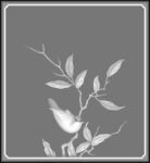 花鸟顶箱柜