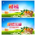 柑橘