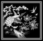 孔雀牡丹
