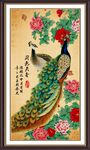 孔雀图