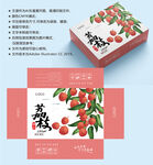 荔枝包装 水果盒子