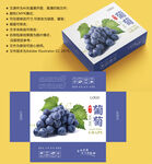 葡萄包装 水果盒子