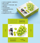 葡萄包装 水果盒子