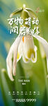 雨水  