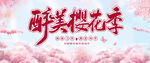 樱花节