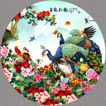国画孔雀