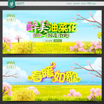 油菜花