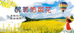 油菜花  