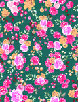 矢量玫瑰花