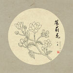 茉莉花