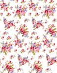 大牌 花朵 鲜花 数码 泳装 