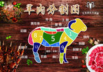 羊肉分割图 色块区分