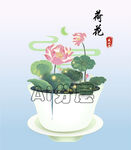 荷花