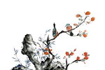 花鸟图