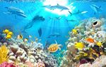 情深3D海底世界海电视背景墙