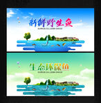 野生鱼