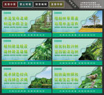 植树造林