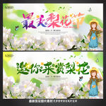 梨花节