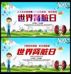 世界肾脏病日主题海报