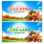 蔬菜