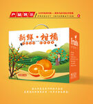 橘子包装 橘子礼盒