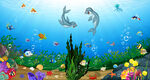 海底生物