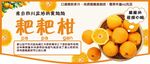 耙耙柑吊牌