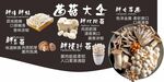 菌类大全吊牌