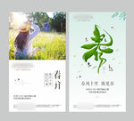 春分立春洋房微信稿图片