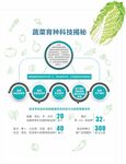 奇妙的种子