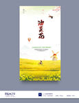 油菜花
