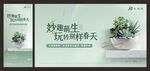多肉diy
