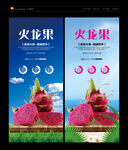 火龙果