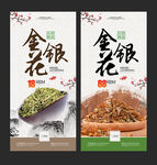 金银花