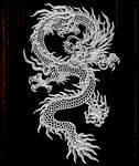 银龙