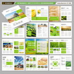 绿色食品画册模板